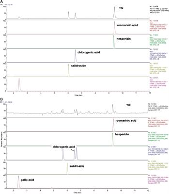 Weichang’an Formula Inhibits Tumor Growth in Combination with Bevacizumab in a Murine Model of Colon Cancer—Making up for the Deficiency of Bevacizumab by inhibiting VEGFR-1